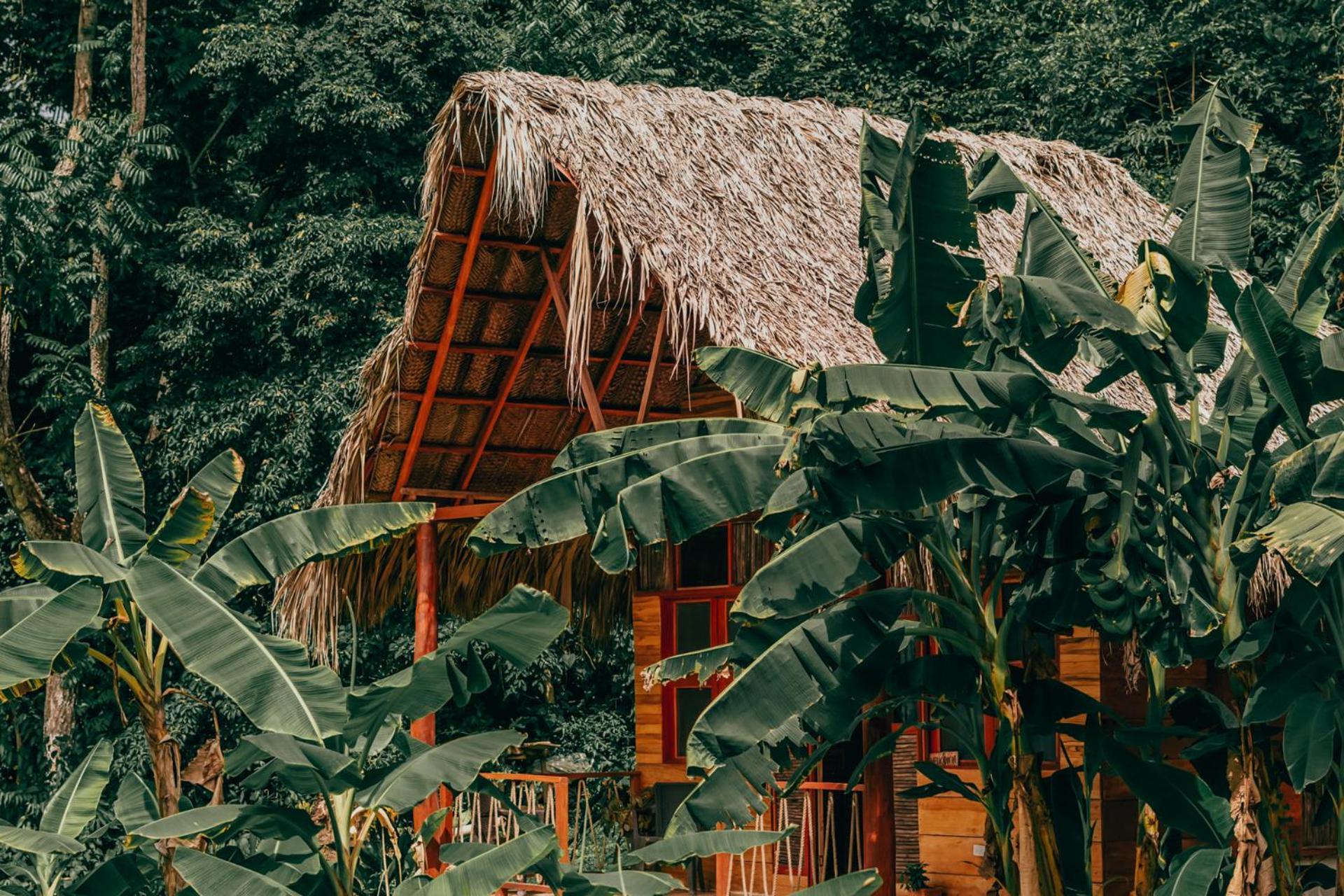 Magic Green Dentro Del Parque Tayrona 엘 자이노 외부 사진