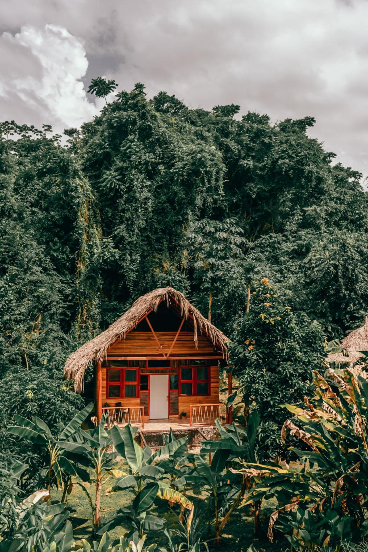 Magic Green Dentro Del Parque Tayrona 엘 자이노 외부 사진