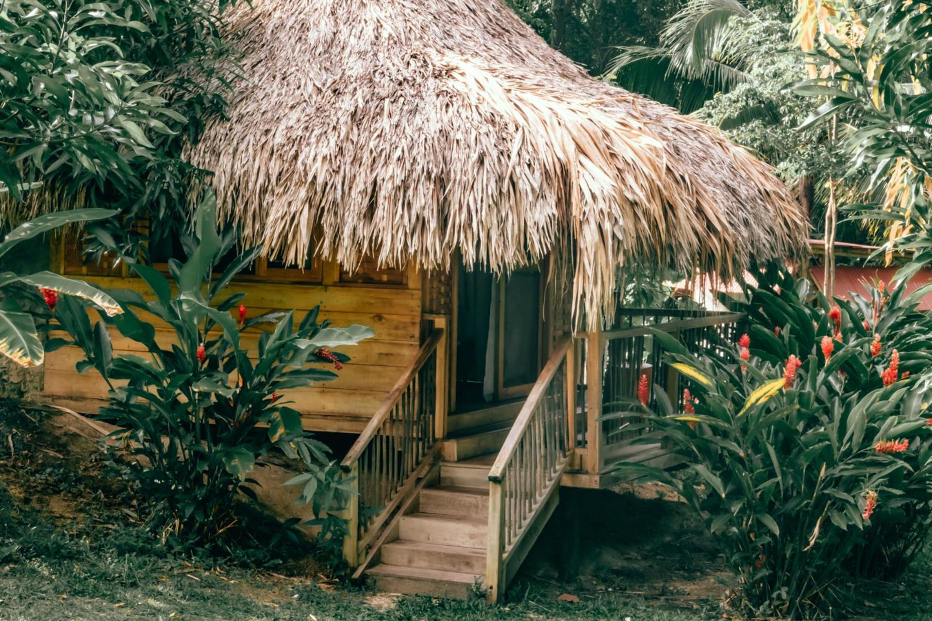 Magic Green Dentro Del Parque Tayrona 엘 자이노 외부 사진