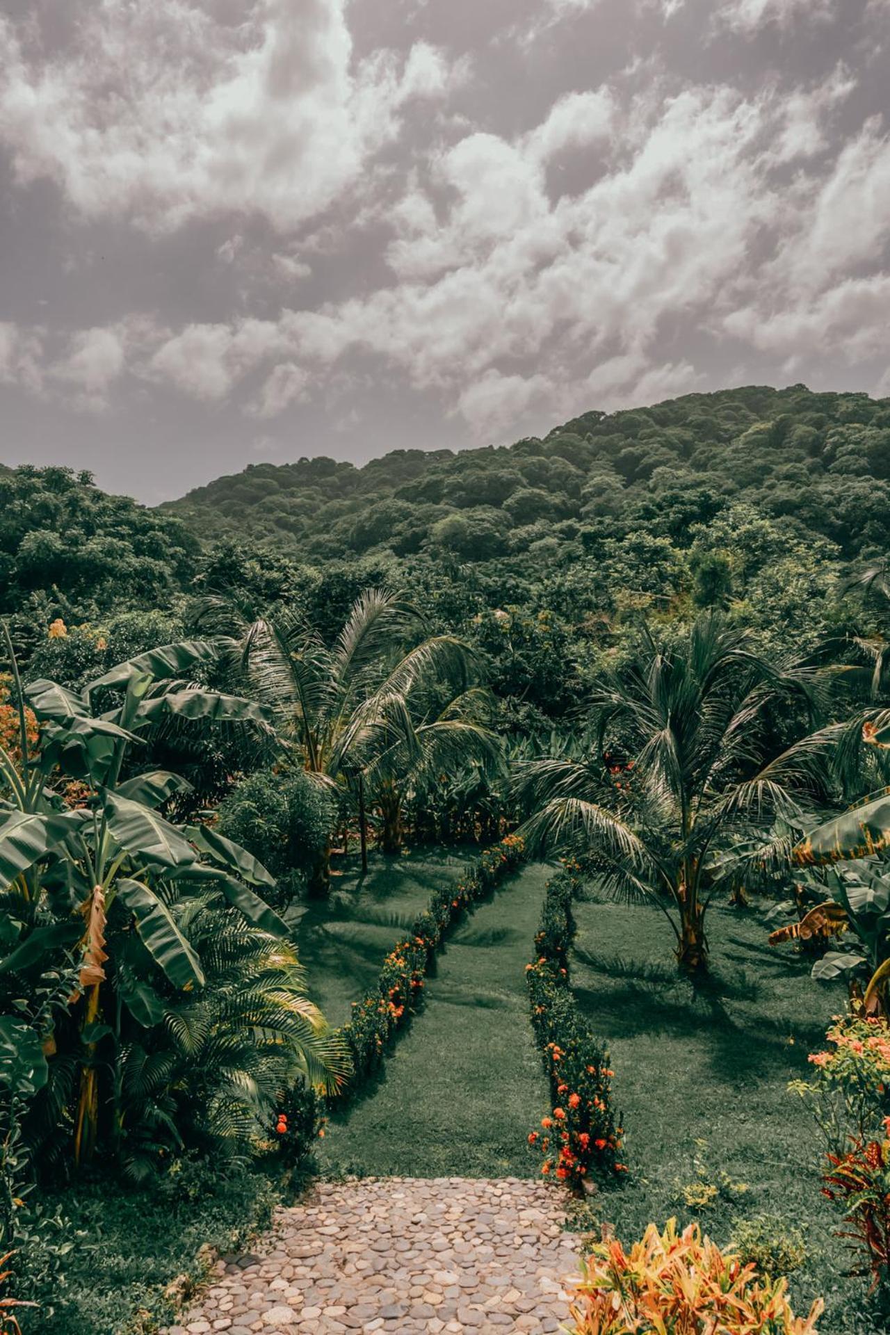 Magic Green Dentro Del Parque Tayrona 엘 자이노 외부 사진