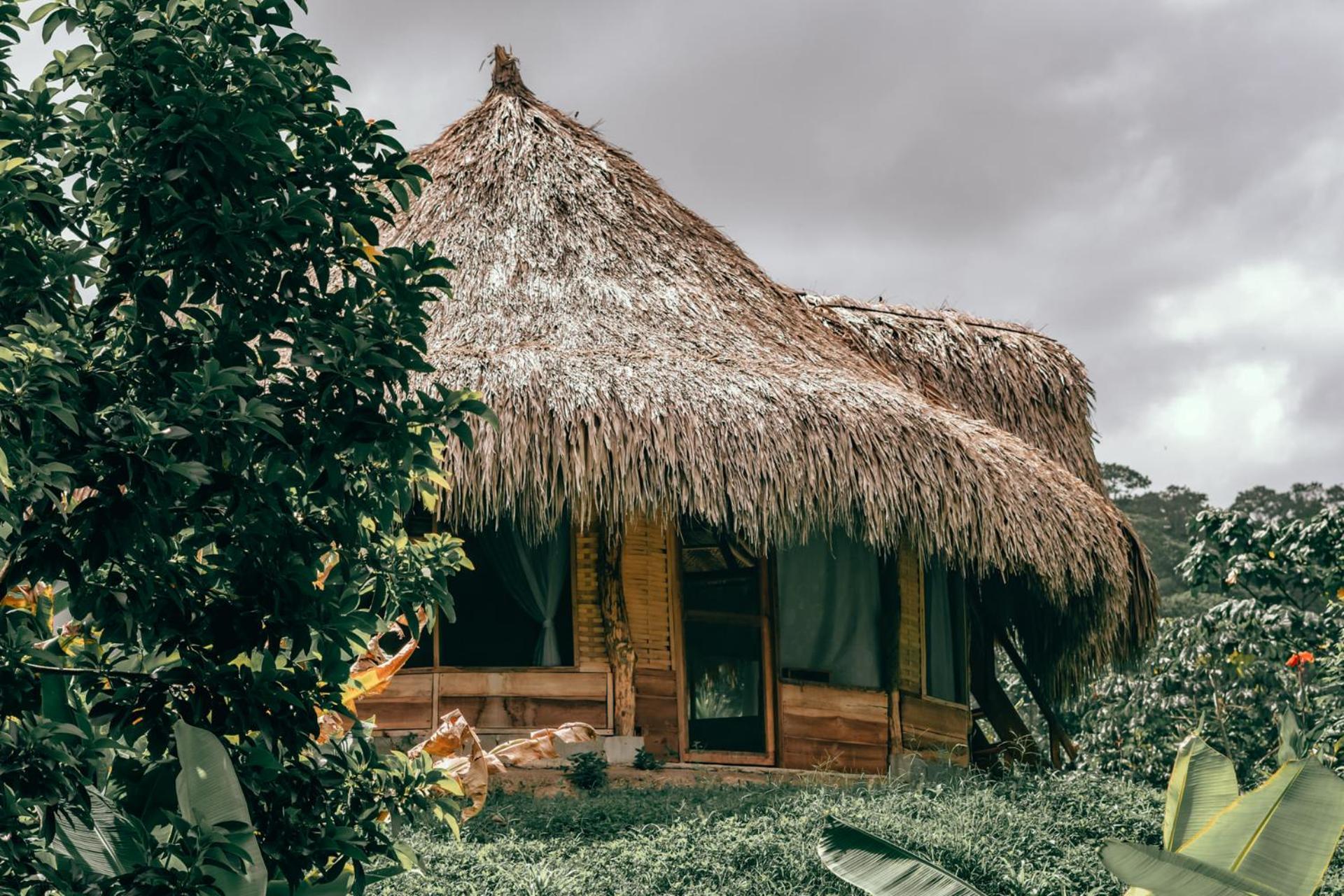 Magic Green Dentro Del Parque Tayrona 엘 자이노 외부 사진