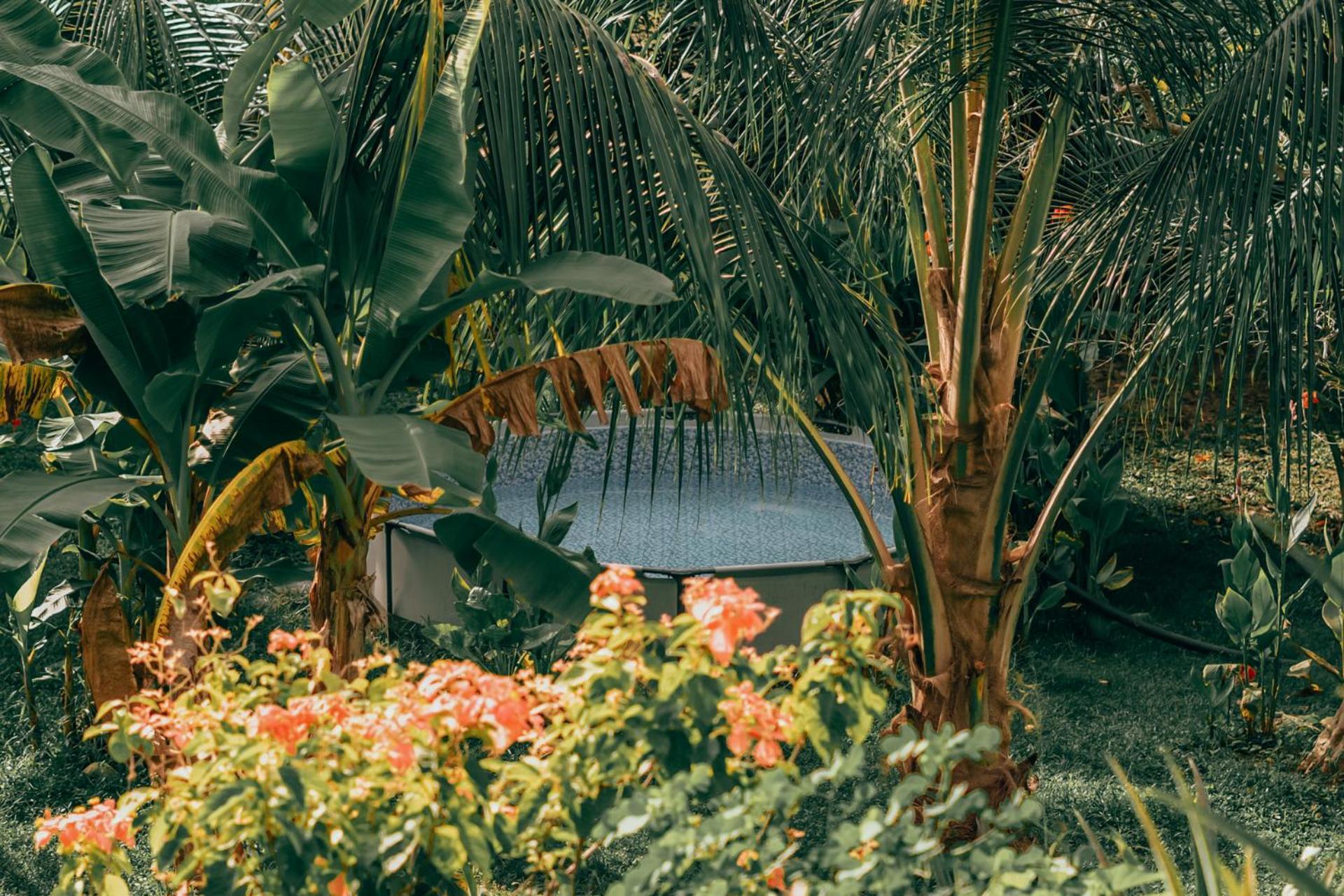 Magic Green Dentro Del Parque Tayrona 엘 자이노 외부 사진