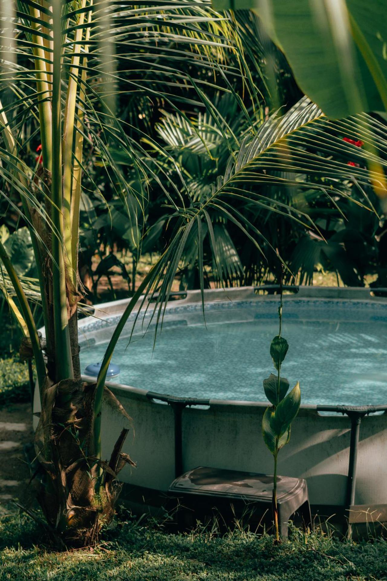 Magic Green Dentro Del Parque Tayrona 엘 자이노 외부 사진